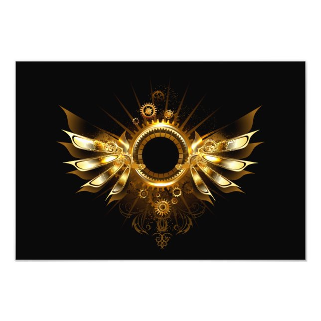Impression Photo Ailes steampunk (Devant)