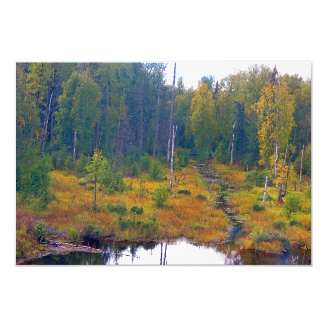 Impression Photo Alaskan Adventure - Paysage #6 (Devant)