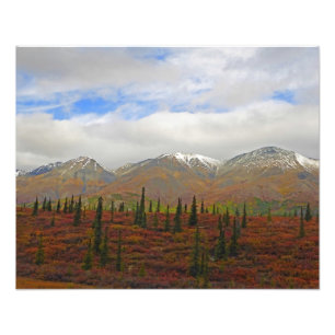 Impression Photo Alaskan Adventure - Paysage #9