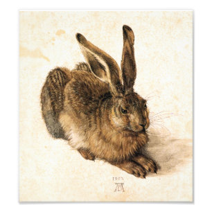 Impression Photo Albrecht Durer Jeune Lièvre