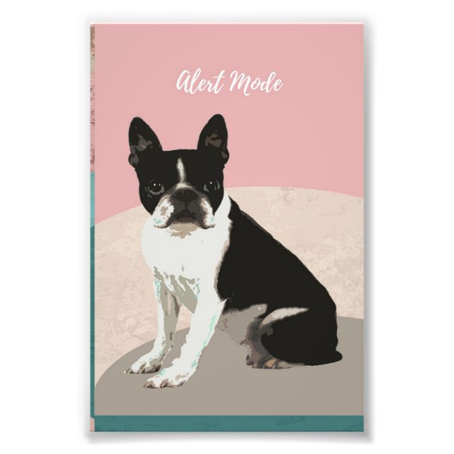 Impression Photo Alert Boston Terrier Dog | Boston Terrier Lover (Devant)