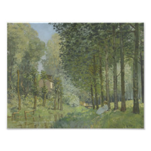 Impression Photo Alfred Sisley - repos le long du courant