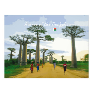 Impression Photo Allée des Baobabs, Madagascar - Paysage