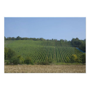 Impression Photo Allemagne, Franconie, Rothenburg. Vue le long de