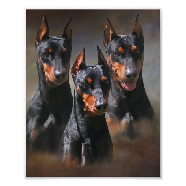 Impression Photo Allemand Pinscher (Devant)