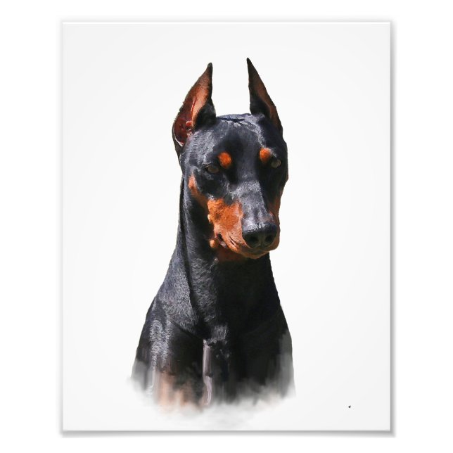 Impression Photo Allemand Pinscher (Devant)