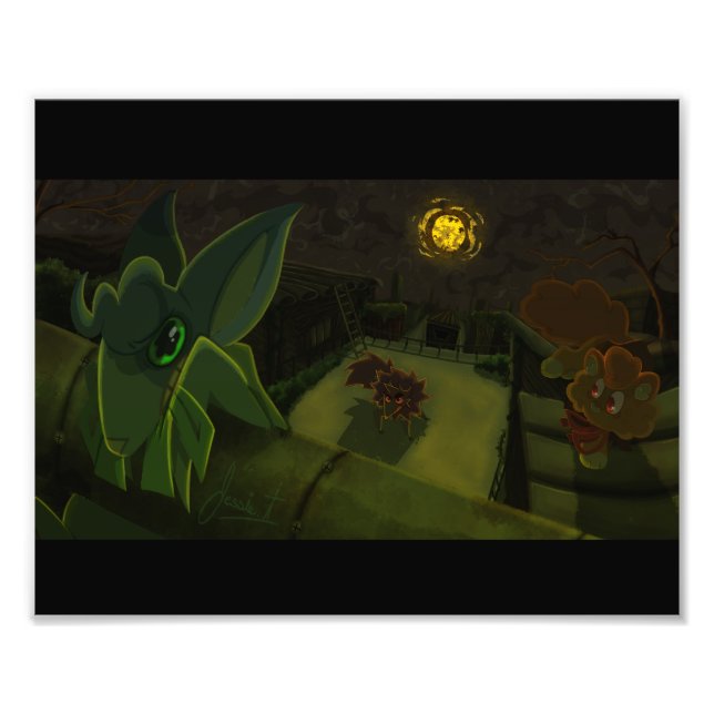 Impression Photo Aller à la zone (Devant)