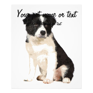 Impression Photo Alors Mignonne Bordure Collie Chien Chien Chien Ch