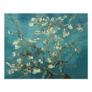 Impression Photo Amandier en Fleurs - Van Gogh
