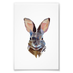 Impression Photo Amateurs de lapin Dessin d'art lapin cadeau