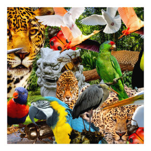 IMPRESSION PHOTO AMAZONIE