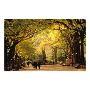 Impression Photo Amérique du Nord, États-Unis, New York, New York C