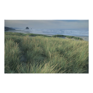 Impression Photo Amérique du Nord, États-Unis, Oregon, Canon Beach,