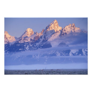 Impression Photo Amérique du Nord, États-Unis, Wyoming, Parc nation