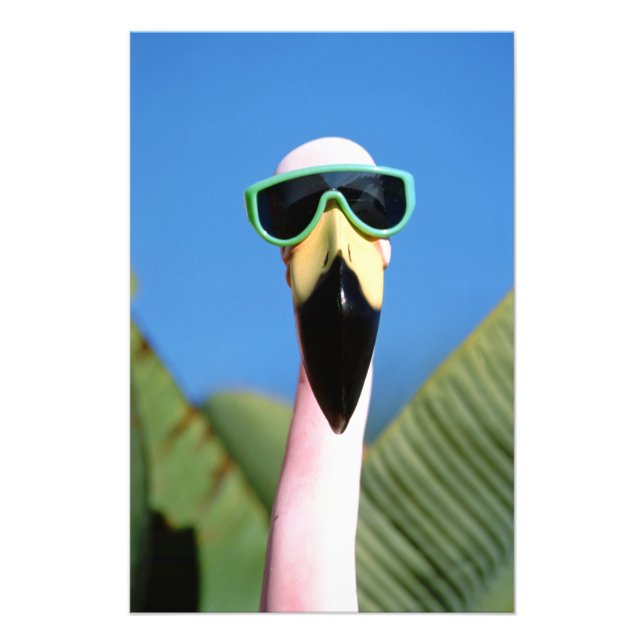 Impression Photo Amérique du Nord, USA, Californie, San Diego. Mer (Devant)