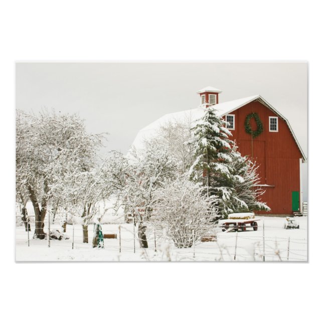 Impression Photo Amérique du Nord, USA, WA, Whidbey Island. (Devant)