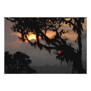 Impression Photo Amérique du Sud, Équateur, scène de forêt nuageuse