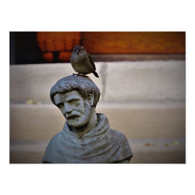 Impression Photo "Ami à plumes de Saint François" (Devant)