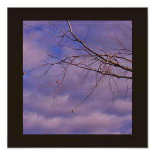 Impression Photo Amis