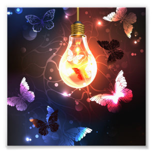 Impression Photo Ampoule lumineuse avec papillons nocturnes