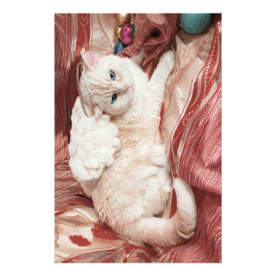 Impression Photo Ange Kitty