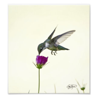 Impression Photo Angel en vol Art photographique
