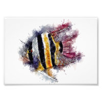 AngelFish Aquarelle Aquarium Sea Creature