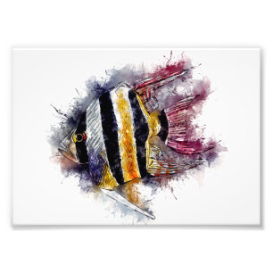Impression Photo AngelFish Aquarelle Aquarium Sea Creature