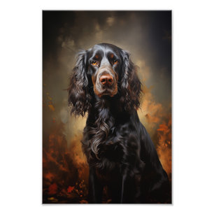 Impression Photo Anglais Cocker Spaniel