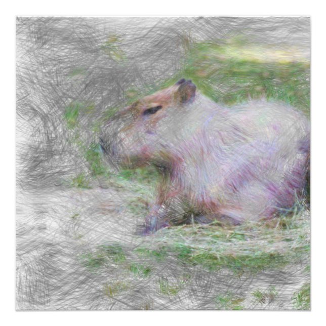 Impression Photo animal artistique capybara (Devant)