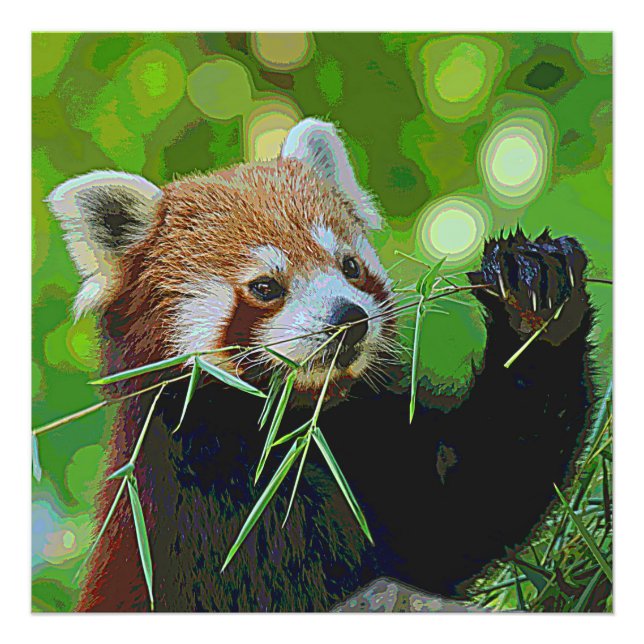 Impression Photo AnimalPaint_RedPanda_20171201_by_JAMColors (Devant)