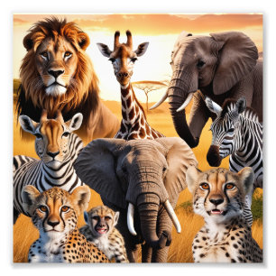 Impression Photo Animaux africains
