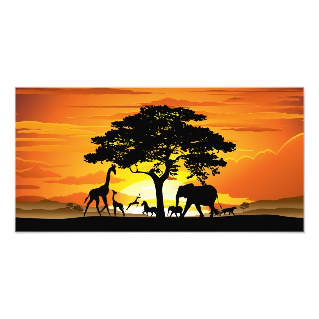 Impression Photo Animaux sauvages sur coucher de soleil de la savan (Devant)