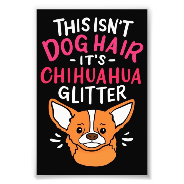 Impression Photo Animaux Toile Mur Art Chihuahua Chig (Devant)