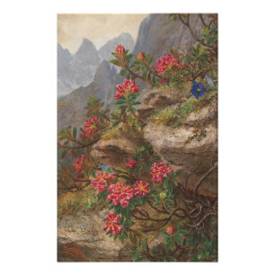 Impression Photo Anna Stainer-Knittel Fleurs alpines Vintages