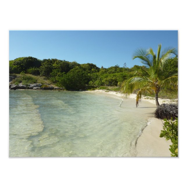 Impression Photo Antiguan Beach Beautiful Tropical Landscape (Devant)