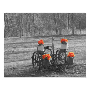 Impression Photo Antique Plow