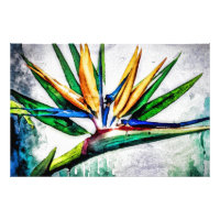 *~* AP10 Peinture d'art d'oiseaux de paradis #13