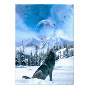 Posters Affiches Montagne Loup Zazzle Fr