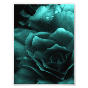 Impression Photo Aqua Close Up a Double Begonia