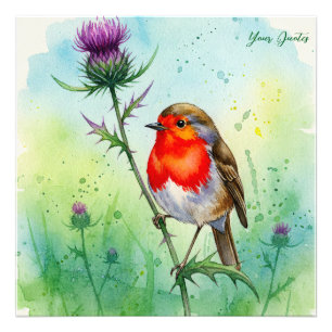 Impression Photo Aquarelle botanique de Robin Bird et fleur de char