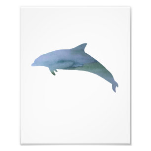 Impression Photo Aquarelle couleur dauphin