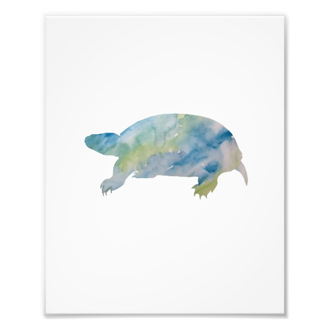 Impression Photo Aquarelle couleur tortue (Devant)