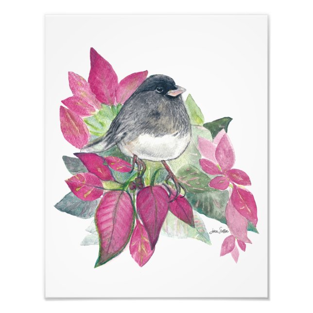 Impression Photo Aquarelle Dark Eyed Junco (Devant)