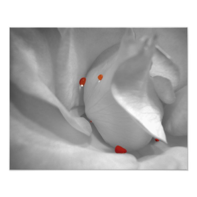 Impression Photo Aquarelle de l'Éolienne Imprimer (Devant)