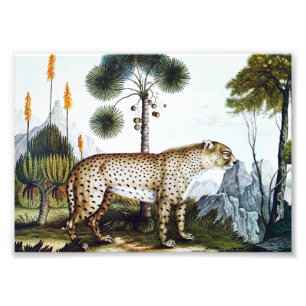 Impression Photo Aquarelle d'un Cheetah (Zotl)