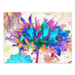 Impression Photo Aquarelle étonnante Rainbow Cactus Dahlia