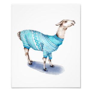 Impression Photo Aquarelle Llama en bleu Sweat