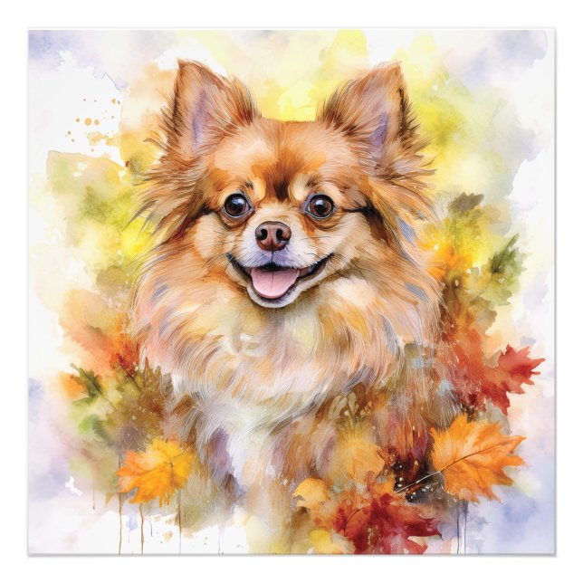 Impression Photo Aquarelle Pomchi Fall (Devant)