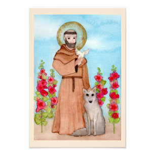 Impression Photo Aquarelle St. Francis Coyote Art Premium